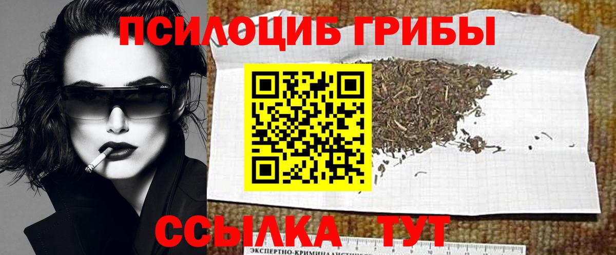 Галлюциногенные грибы мицелий  Псилоцибиновые грибы прущие грибы  Вход с VPN  Чехов 
