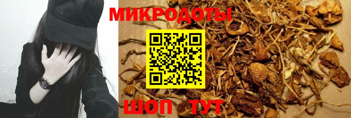 Галлюциногенные грибы мухоморы Чехов